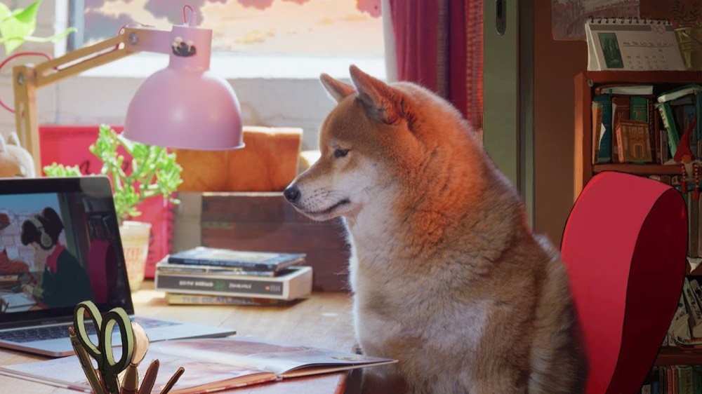 Tofu Chan, a shiba inu, sitting at a sunlit desk beside a laptop and books in a lo-fi study scene.